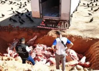 Carga clandestina de quase 5 toneladas de carne é apreendida pela ADAB em Teixeira de Freitas