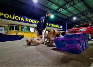 Casal de traficantes é preso transportando quase 62 Kg de cocaína escondidos em fundo falso de caminhonete
