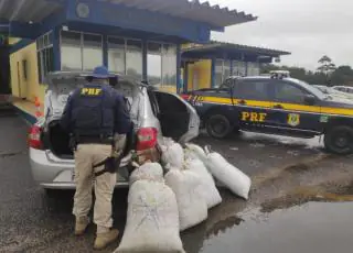Vídeo - Casal é preso pela PRF com o carro recheado de maconha