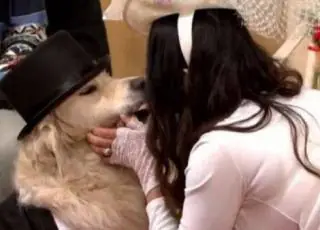 Casamento de ex modelo com cachorro e transmitido ao vivo pela TV