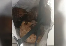 Caso inusitado: homem é encontrado com três crânios humanos dentro de CAPS