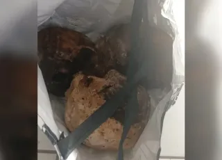 Caso inusitado: homem é encontrado com três crânios humanos dentro de CAPS