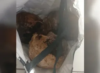 Caso inusitado: homem é encontrado com três crânios humanos dentro de CAPS