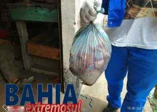 Cena macabra – Idoso é decapitado e tem cabeça jogada no meio da rua