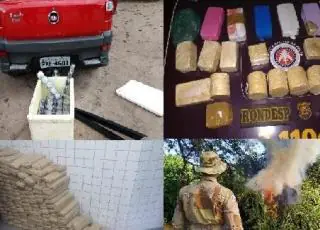 Cerca de 30 kg de drogas são apreendidas por dia em 2019