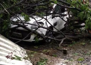 Chuva causa transtornos e prejuízos em boa parte da Bahia; Vejam as imagens