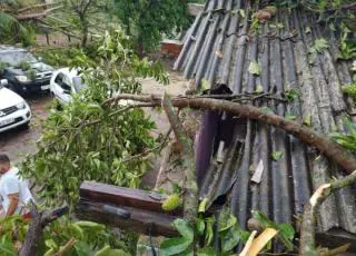 Chuva de granizo deixa rastro de destruição em Vila Juazeiro, interior de Ibirapuã; Veja vídeos