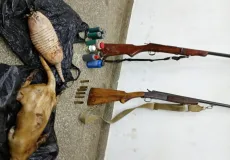CIPPA/Porto Seguro apreende armas, munições e animais silvestres abatidos na BA -262.