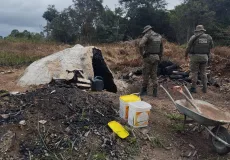 CIPPA/Porto Seguro desativa fornos clandestinos de carvão vegetal em Belmonte