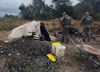 CIPPA/Porto Seguro desativa fornos clandestinos de carvão vegetal em Belmonte