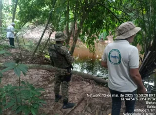 CIPPA/PORTO SEGURO e Inema investigam mortandade de animais no Rio Itacanoeira,em Ilhéus 