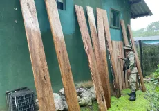 CIPPA/Porto Seguro flagra extração ilegal de madeira nativa em Uruçuca 