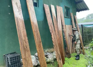 CIPPA/Porto Seguro flagra extração ilegal de madeira nativa em Uruçuca 
