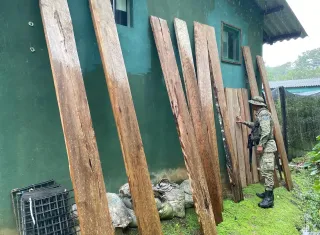 CIPPA/Porto Seguro flagra extração ilegal de madeira nativa em Uruçuca 