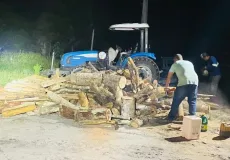CIPPA/Porto Seguro flagra transporte ilegal de madeira na zona rural de Barrolândia