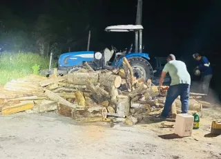 CIPPA/Porto Seguro flagra transporte ilegal de madeira na zona rural de Barrolândia