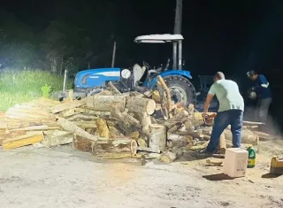 CIPPA/Porto Seguro flagra transporte ilegal de madeira na zona rural de Barrolândia