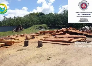 CIPPA/Porto Seguro realiza ações de combate ao armazenamento e transporte ilegal de madeira nativa em Porto Seguro