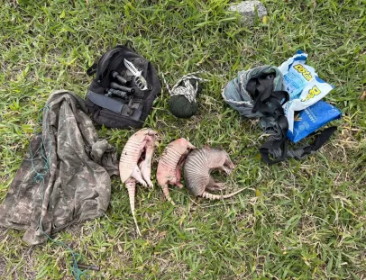 CIPPA/PS Apreende Armas e Animais Silvestres em Operação Contra Caça Ilegal em Itagimirim.