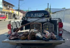 CIPPA/PS desarticula comércio ilegal de animais silvestres em Canavieiras