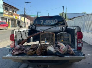 CIPPA/PS desarticula comércio ilegal de animais silvestres em Canavieiras