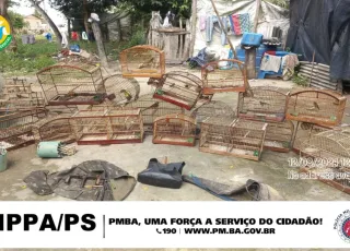 CIPPA/PS desativa Cativeiro Ilegal de Animais Silvestres em Santa Cruz Cabrália