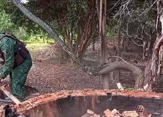  CIPPA/PS e INEMA destroem forno usado para a produção de carvão ilegal no município de Caravelas.