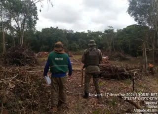 CIPPA/PS e INEMA detectam desmatamento ilegal em Taperoá durante "Operação Mata em Pé”