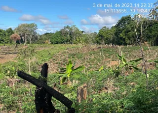 CIPPA/PS notifica proprietário rural por desmatar 4.000 m² de vegetação da Mata Atlântica na reserva biológica de Una