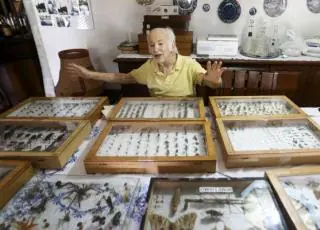 Colecionador brasiliense doa 2 mil insetos ao Museu Nacional do Rio