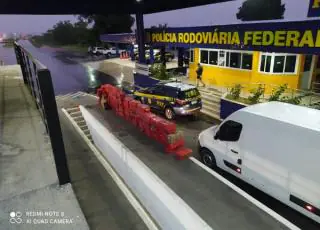 Com auxílio de cão farejador, PRF apreende quase 1,5 tonelada de maconha em Vitória da Conquista