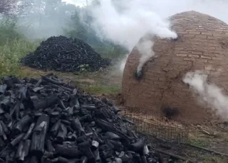 Combate ao carvão ilegal em Posto da Mata e  Serra do Ramalho resulta em apreensões e destruição de fornos
