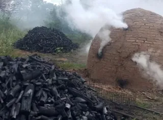 Combate ao carvão ilegal em Posto da Mata e  Serra do Ramalho resulta em apreensões e destruição de fornos