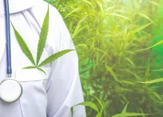 Comissão da Câmara aprova projeto que autoriza plantio de Cannabis