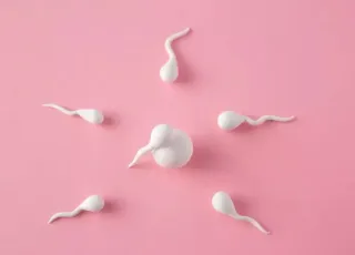 Como saber se estou ovulando? Conheça 4 sinais  