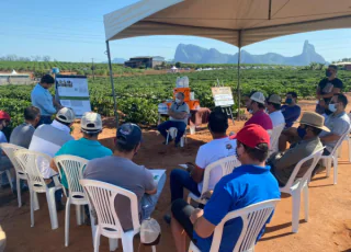 Concurso Regional Conilon de Qualidade promove Dias de Campo em fazendas da região