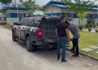 Condenado por roubo qualificado é preso em Porto Seguro