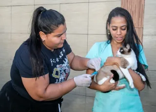 Confira cronograma da Campanha Nacional de Vacinação contra a Raiva Animal