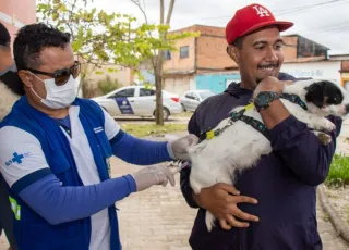 Confira locais de aplicação da vacina antirrábica em Teixeira de Freitas; ação começa na próxima segunda (03)