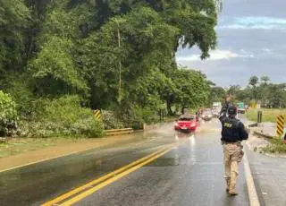 Confira os trechos das rodovias afetadas pelas chuvas na Bahia