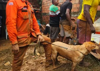 Corpo de estudante que desapareceu em bueiro na cidade de Dias D'Vila é encontrado.  Resgate de vítimas em Salvador evidencia trabalho especializado de bombeiros militares