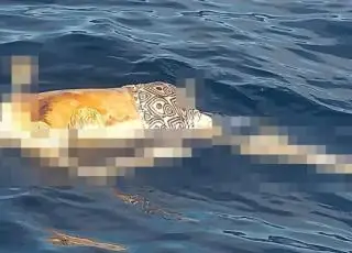 Corpo boiando é encontrado por pescadores próximo ao Arquipélago de Abrolhos