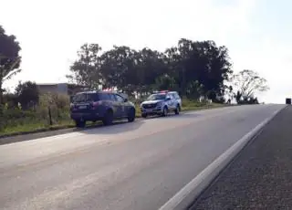 Corpo de bebê é encontrado parcialmente dilacerado na BR 101