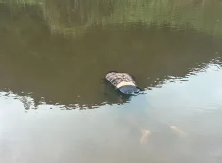 Corpo de homem  é encontrado boiando em rio da Vila Juazeiro, em Ibirapuã