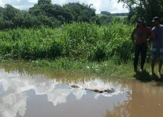 Corpo de homem pés e mãos amarradas e com saco plástico na cabeça é encontrado na Prainha em Teixeira de Freitas