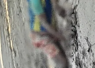 Corpo de idoso, desaparecido em Itamaraju, é encontrado em mata fechada