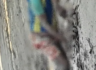 Corpo de idoso, desaparecido em Itamaraju, é encontrado em mata fechada