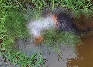 Corpo de idoso é encontrado boiando dentro de rio no interior de Itamaraju