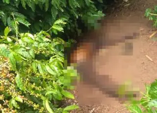 Corpo de idoso já em decomposição é encontrado em meio a cafezal no Colina Verde em Teixeira de Freitas