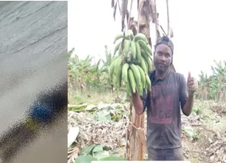 Corpo de morador do Guarani desaparecido no mar de Corumbau é encontrado em Trancoso